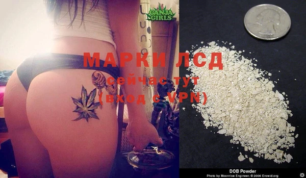 индика Кулебаки